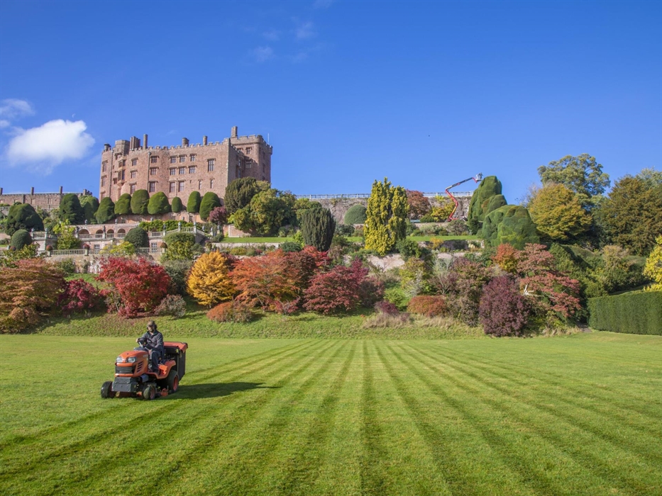 A green lawn below a row of orange, red and yellow autumnal trees, with the castle at the top of the hill