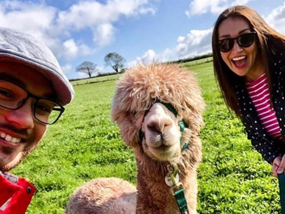 Pembrokeshire Alpaca Trekking