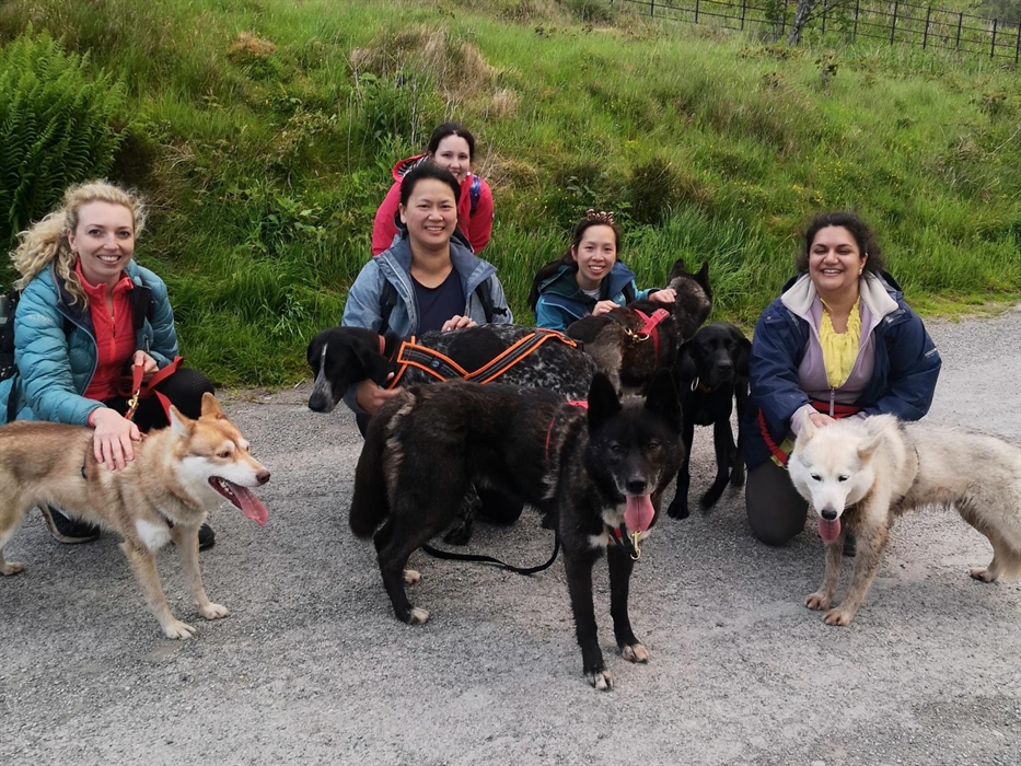 Husky Hiking Hen Party
