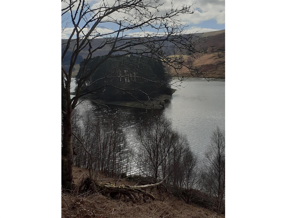 A trouty wave on one of my favourites..... some good sized brown trout inhabit this gorgeous reservoir.......