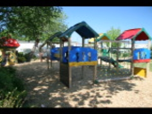 Fun in the sun on Silver Birch