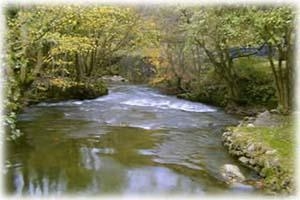 Loggerheads Country Park