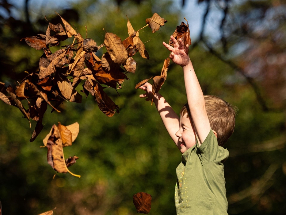 Autumn family visits to Dyffryn Gardens
