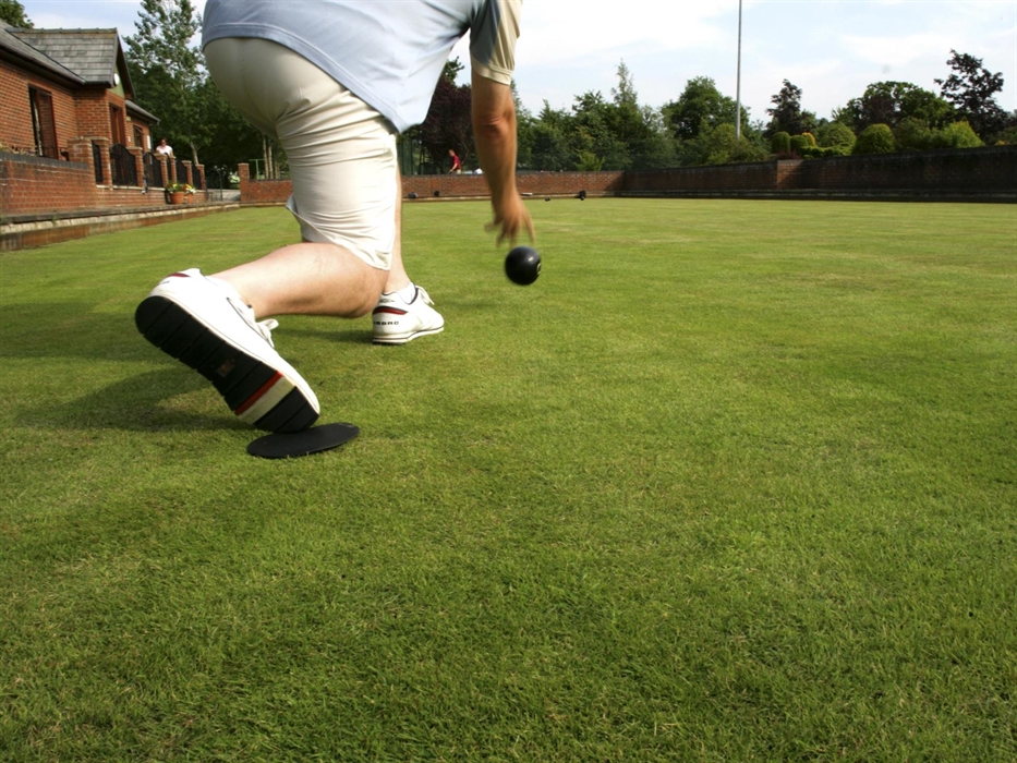 Bowls at Dolgead Hall