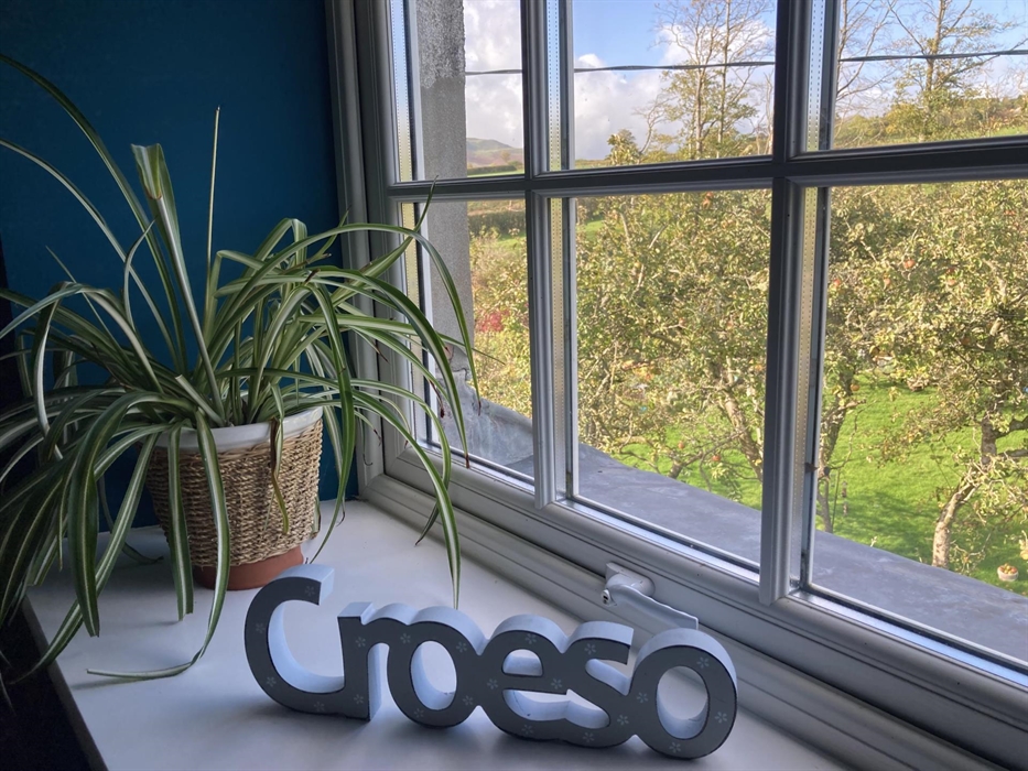 View from one of the lounge windows