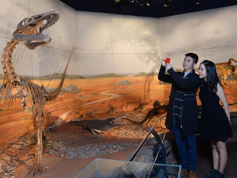 Evolution of Wales dinosaur