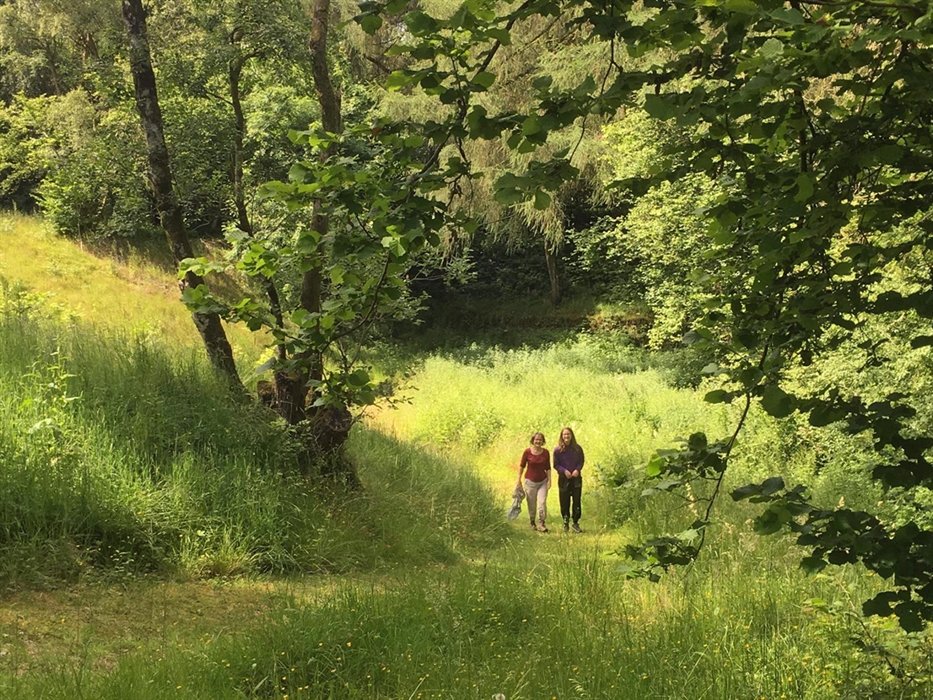 Available to only Drovers guests this area of regenerating woodland is a very special place, steeped in history as well as a haven for wildlife