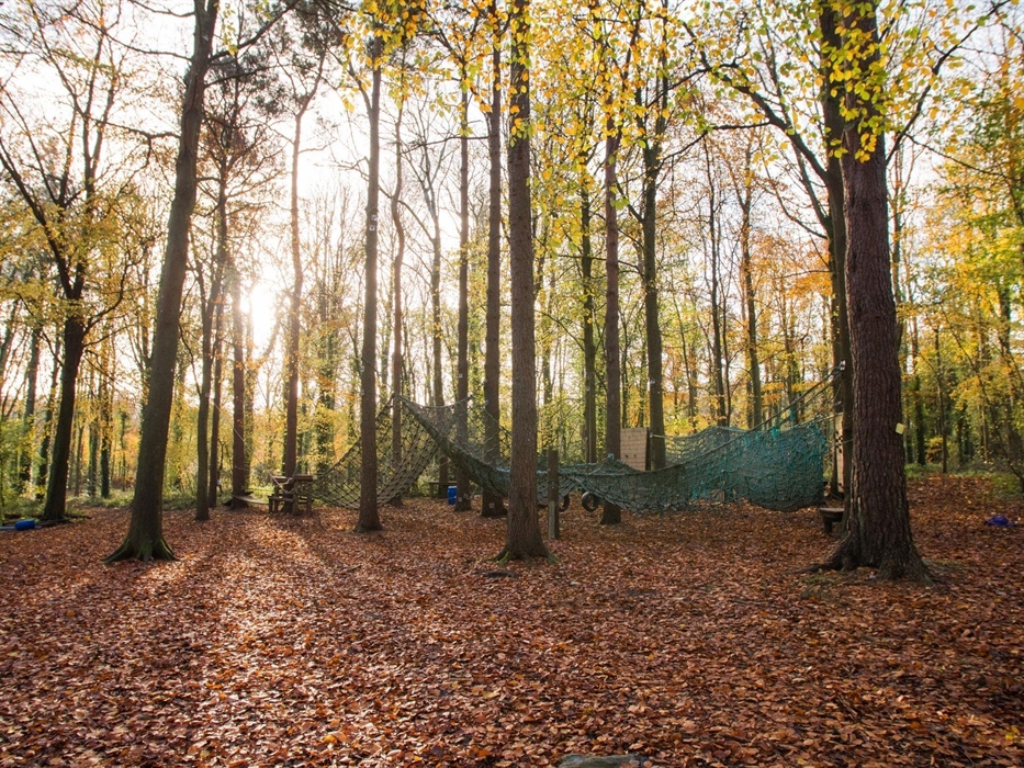 Low Ropes & High Ropes