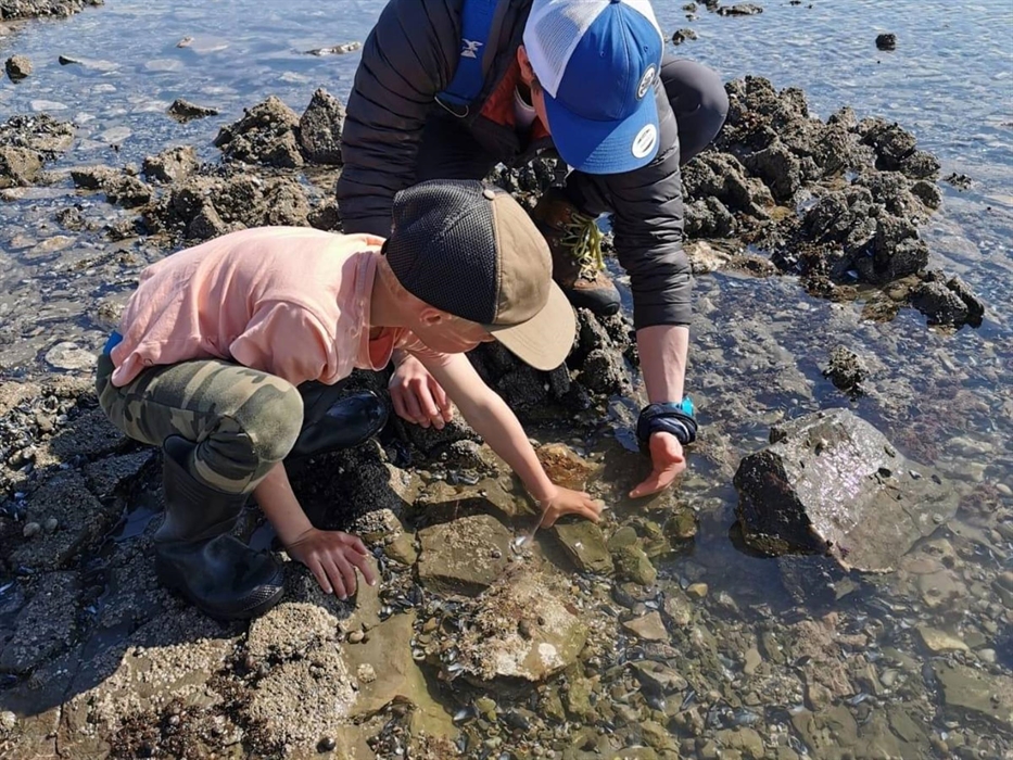 A sea side safari to fine the hiding world in the rock pools!