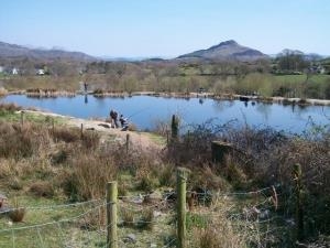 Eisteddfa Fishery