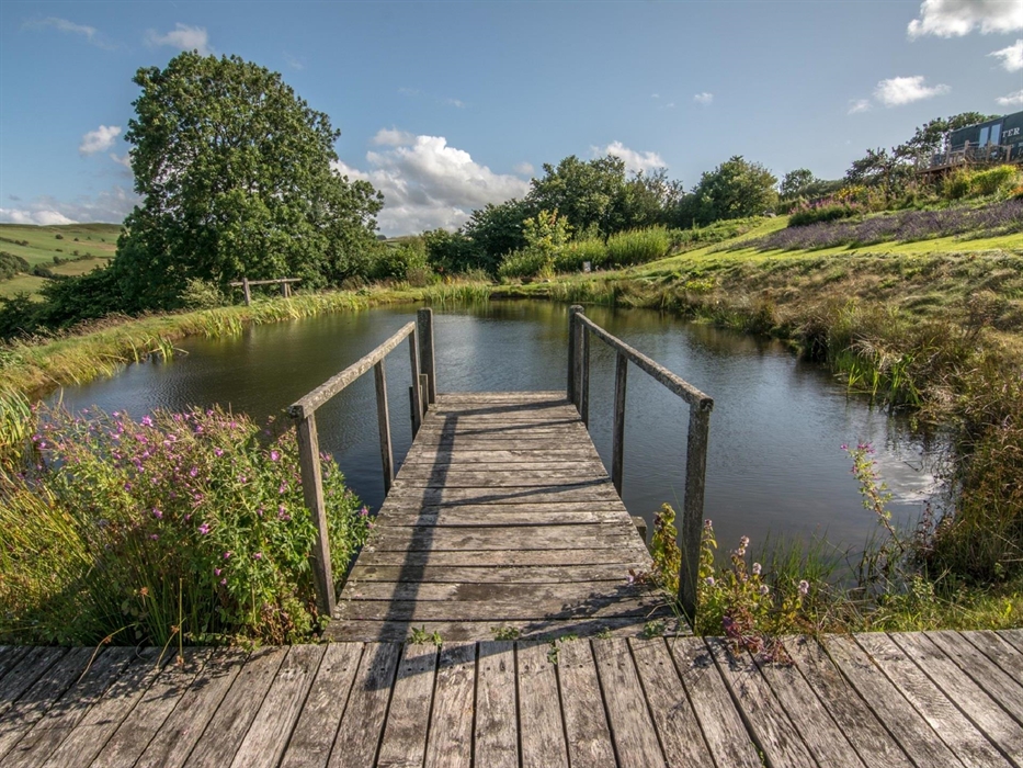The swimming pond in summer, with Pantechnicon Powys perched up on the hillside to the right.