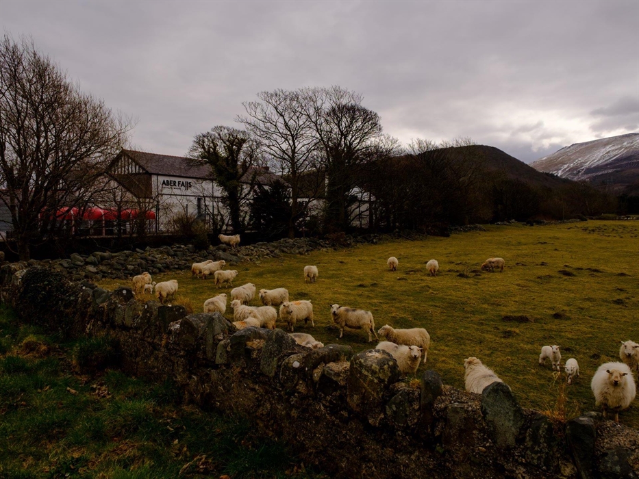 Aber Falls Distillery