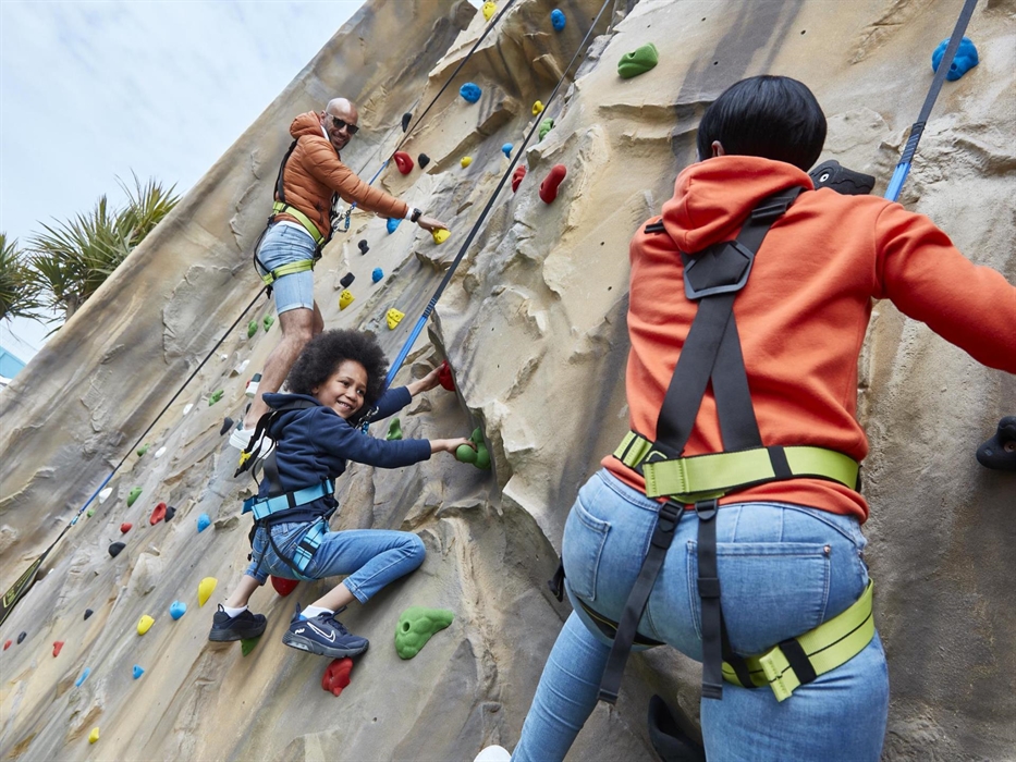 Rock Climbing Wall