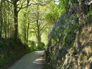 Valley View Holiday Park