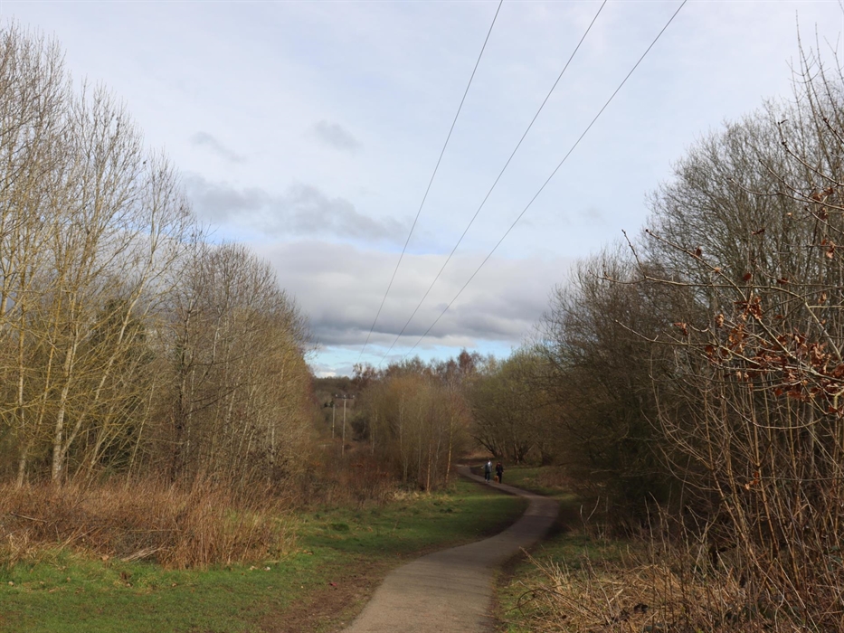 Walks at Alyn Waters Country Park