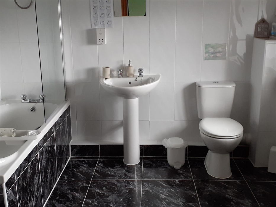 Downstairs En-suite bathroom with shower over