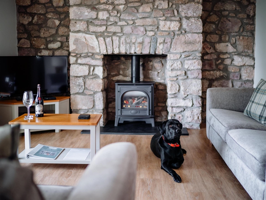 dog friendly accommodation swansea