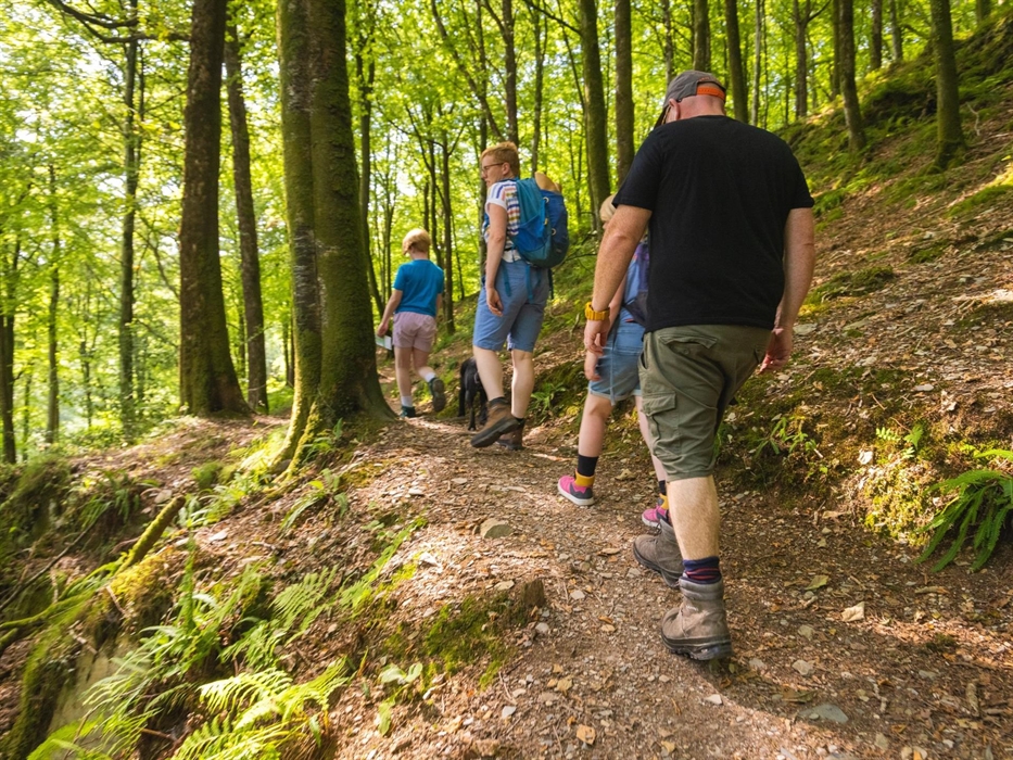 Walking in Tan y Coed, Dyfi Forest