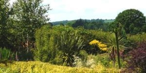 Gerddi Norwood Gardens