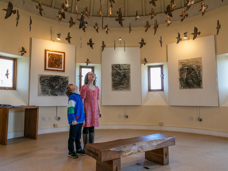 Two children (girl and boy) admiring the birds hanging from the ceiling at the exhibition.