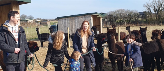 A group standing in an outdoor paddock surrounded by several alpacas. Farm buildings, fencing and open countryside can be seen in the background.