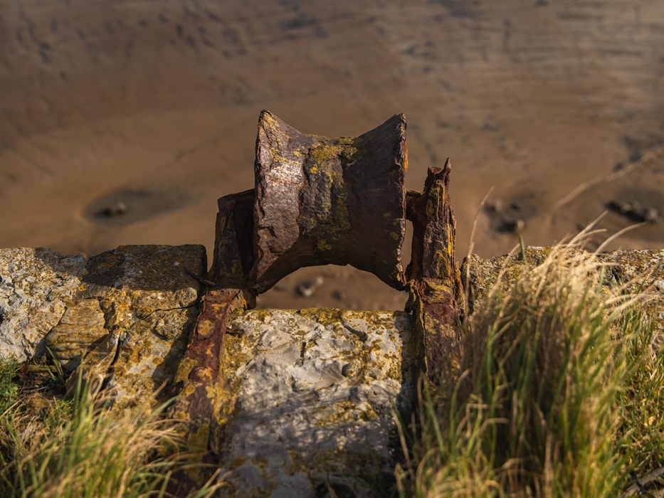 Kenfig NNR close up