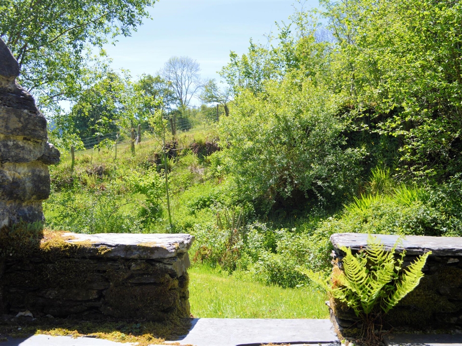 Benar Bach - with views across fields