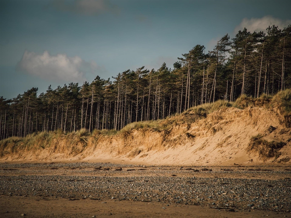 Newborough Forest and National Nature Reserve