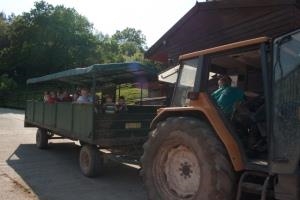 Greenmeadow Community Farm