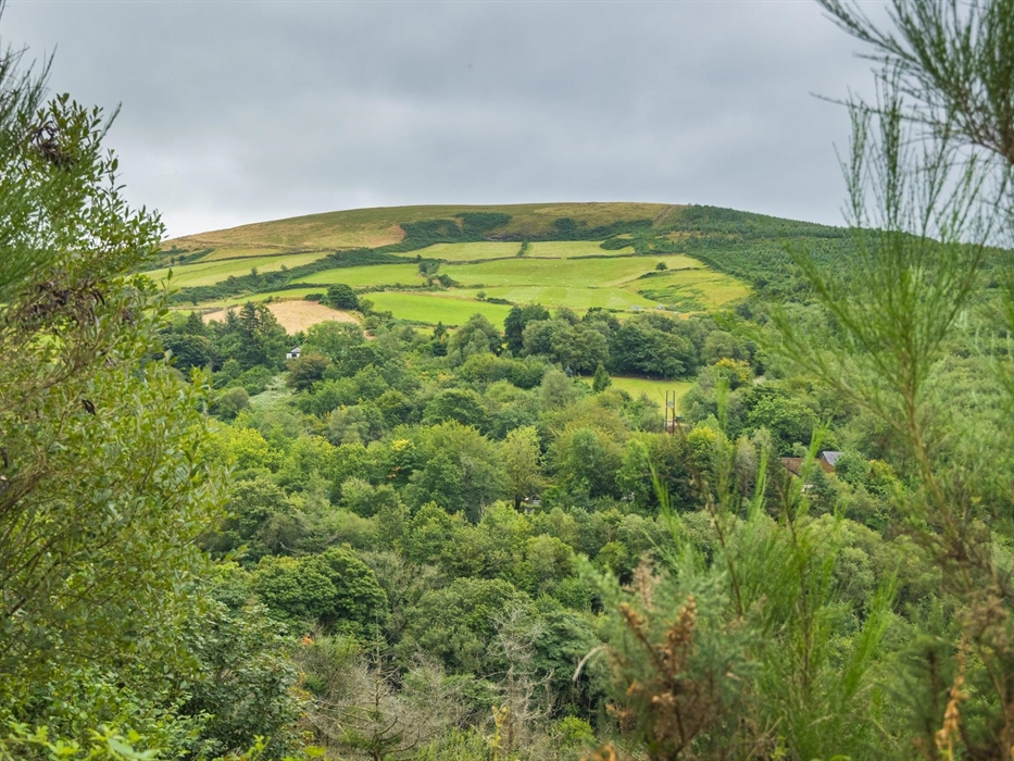 View from Afan Forest Park