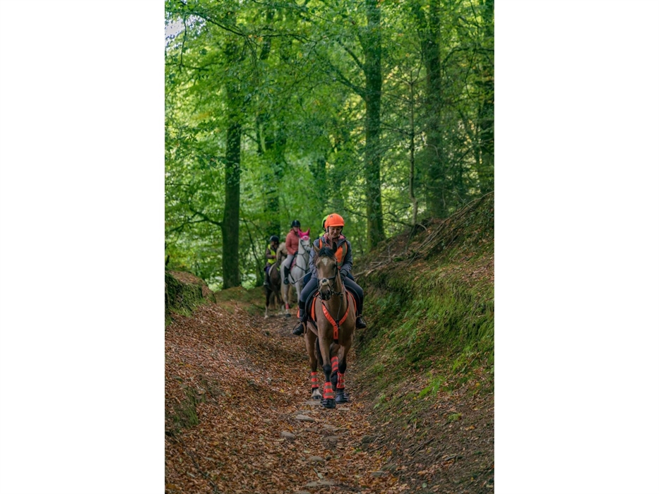 The Great Glamorgan Way