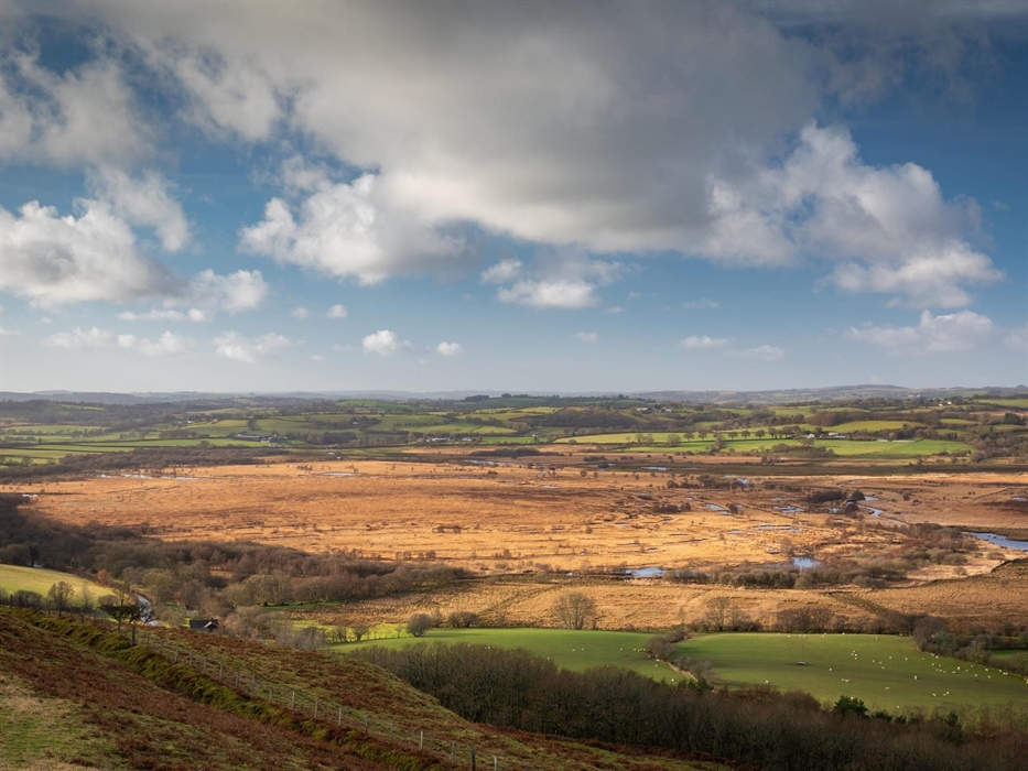 Aerial view of Cors Caron