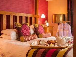 Executive Suite (Towy suite)