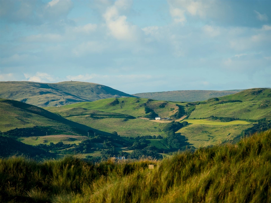 Cambrian Mountains