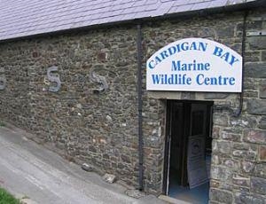 Cardigan Bay Wildlife Centre