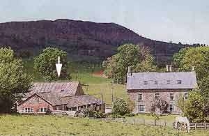 Werngochlyn Farm Cottages