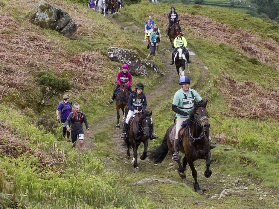 Image Credit: Peter Barnett