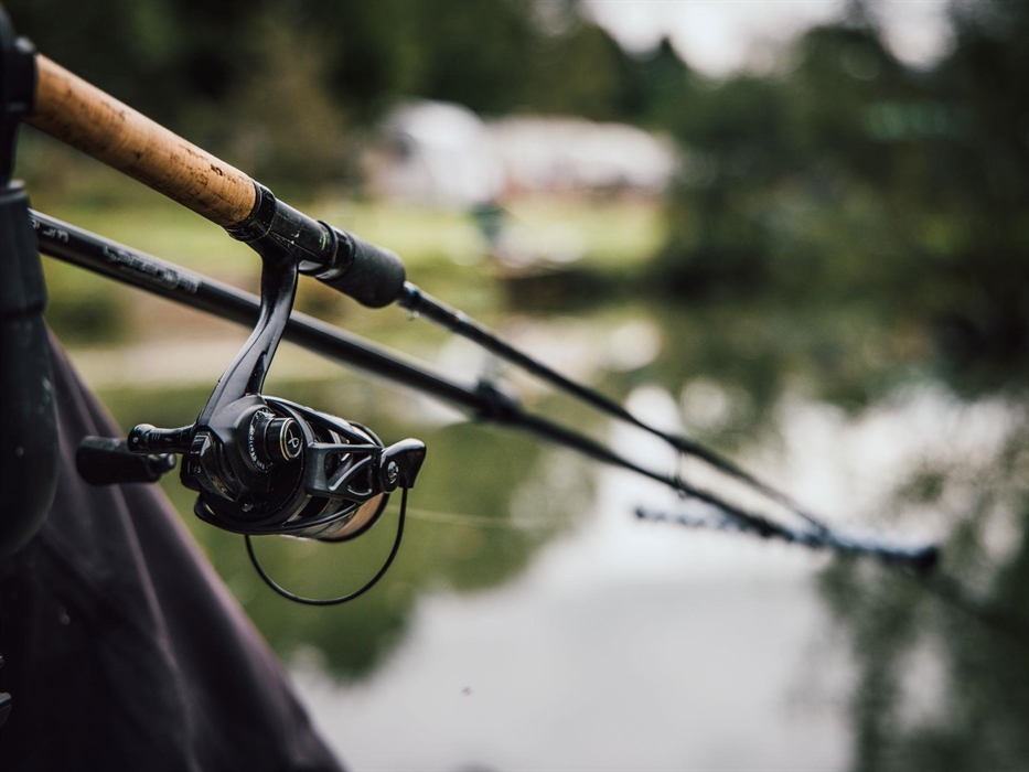 Anglesey Fishing and Boat Trips