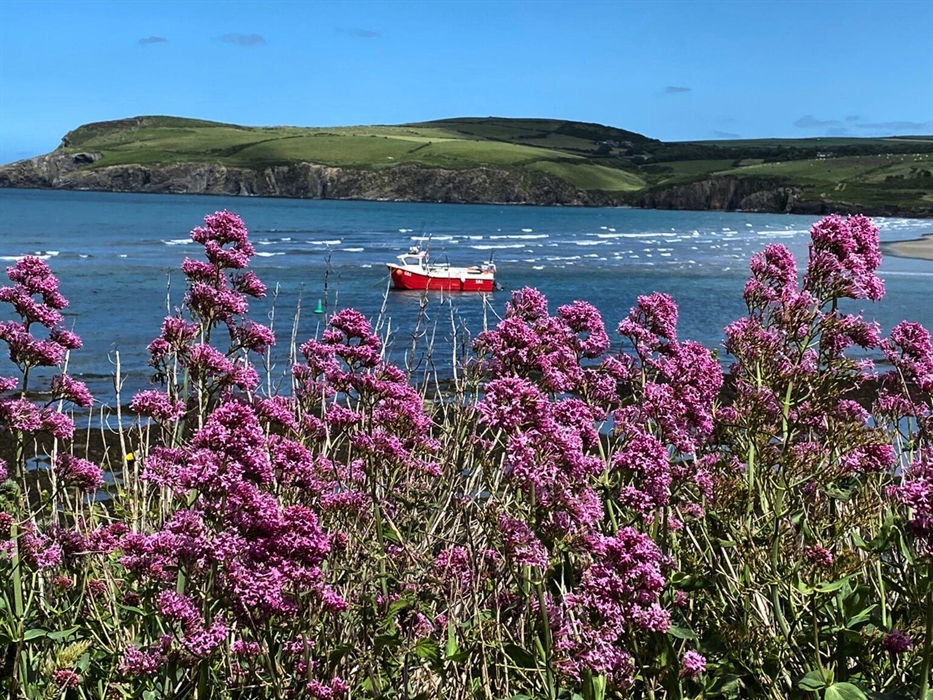 Panoramic Pembrokeshire