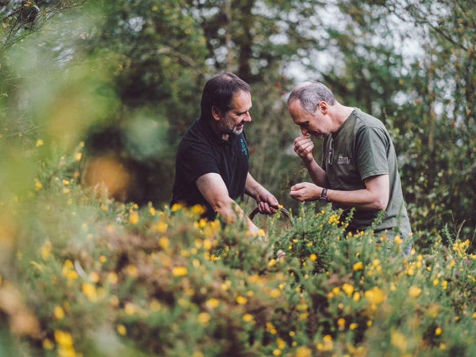 Foraging for botanicals