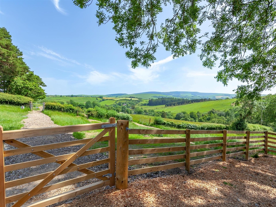 The views from Cadwollen's Treehouse