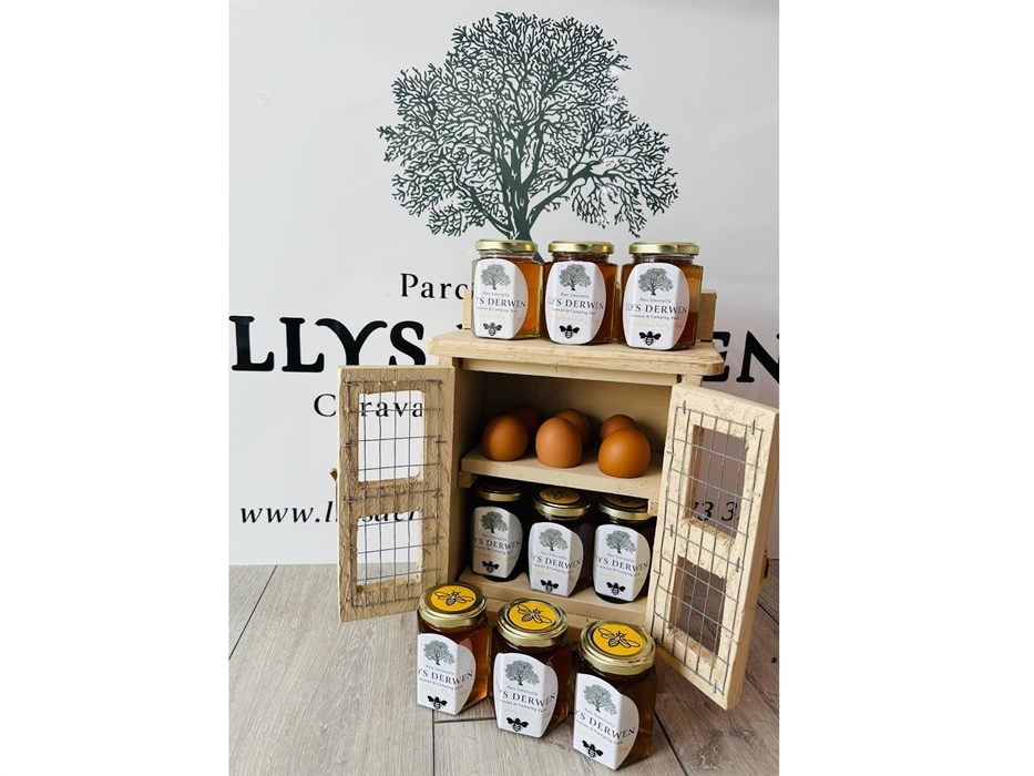 Llys Derwen Caravan & Camping Site