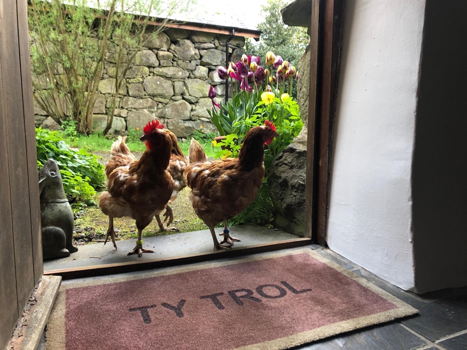Ty Trol Cottage