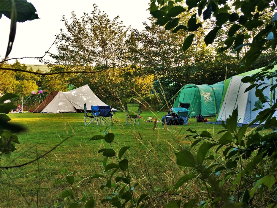 Meadow Camping at Top of the Woods