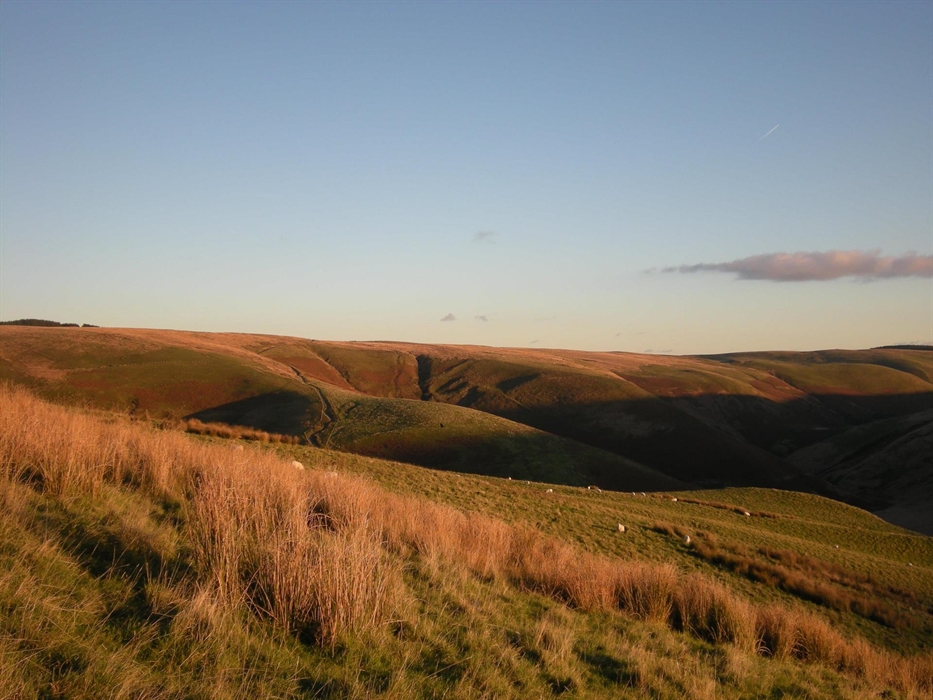 Evening view near the hostel