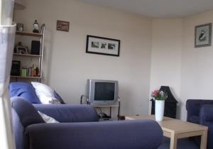 Puffin Patch Self Catering Cottage