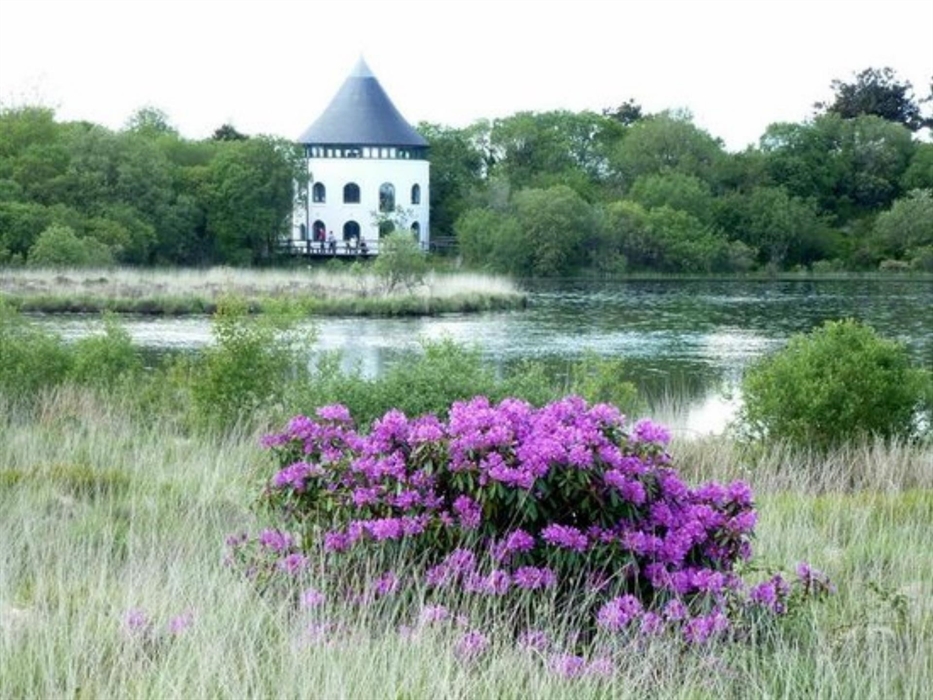 Llyn Llech Owain Country Park
