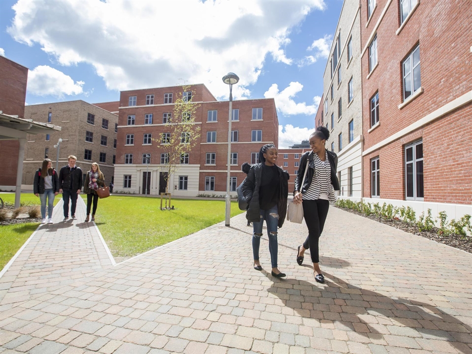 Students walking outside on the bay campus