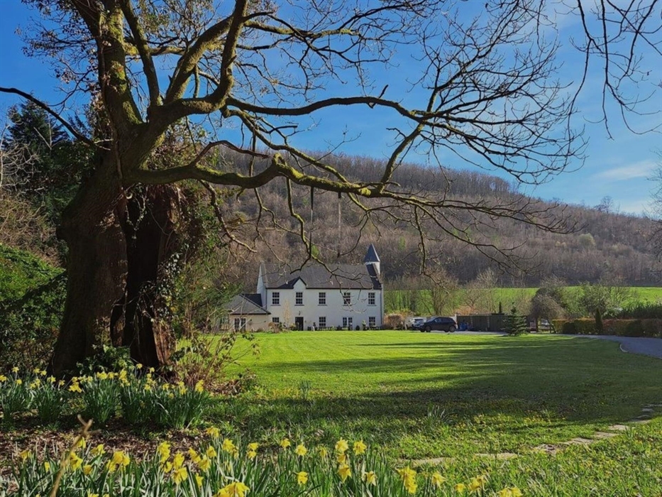 Spring time at Glangwili Mansion Luxury Bed & Breakfast, in the beautiful Gwili Valley, near Carmarthen