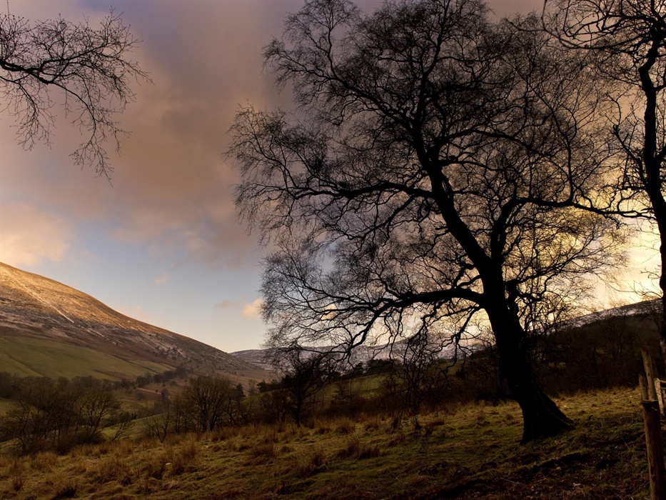 View from Hostel Grounds